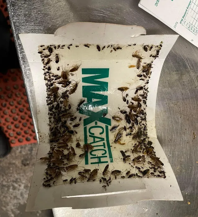 Skaggs Pest Control Picture 1