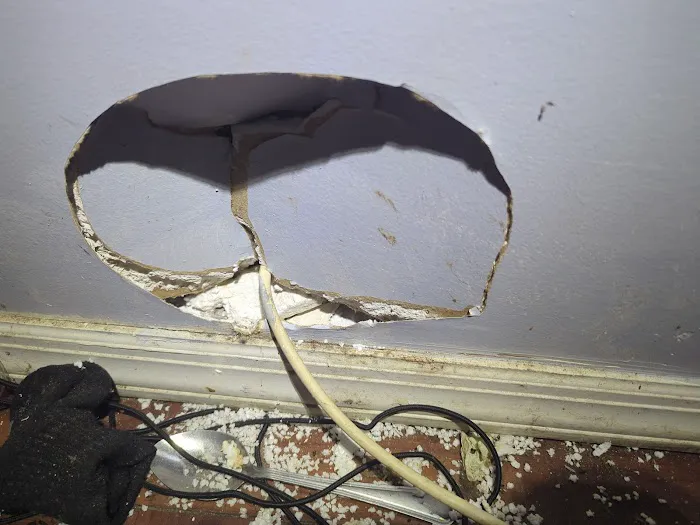 Reclaim Pest Control Picture 2