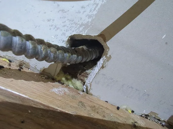 Reclaim Pest Control Picture 4