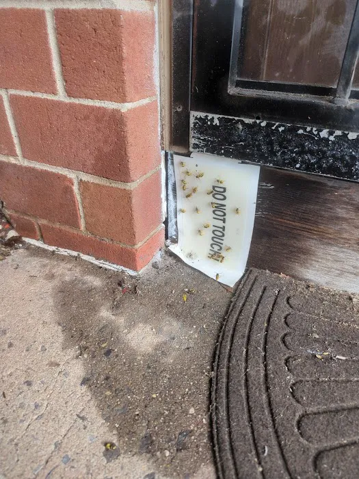 Reclaim Pest Control Picture 7