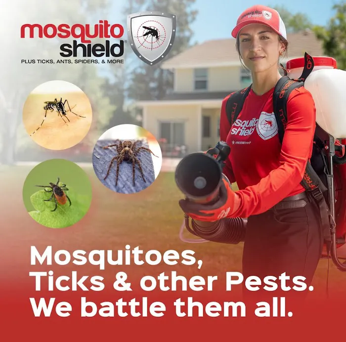 Mosquito Shield of Nassau Long Island Picture 10