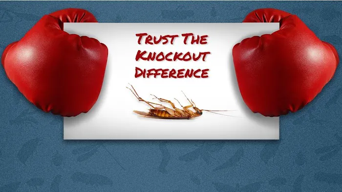 Knockout Pest Control Picture 4
