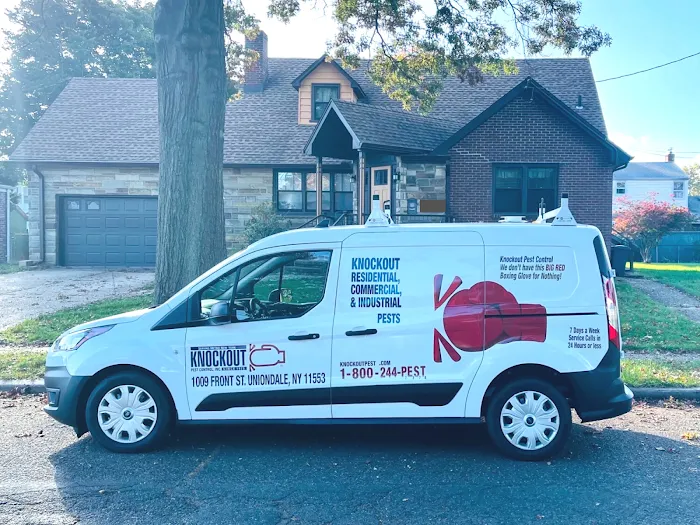 Knockout Pest Control Picture 5