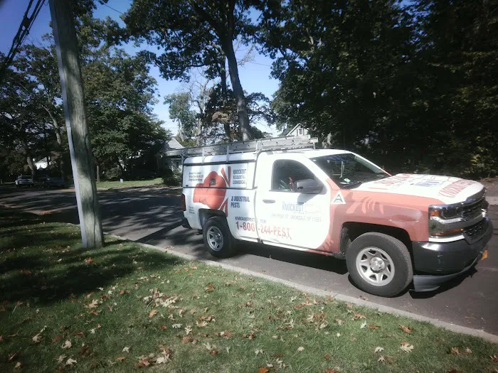 Knockout Pest Control Picture 2