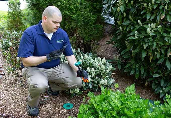 Parkway Pest Services Picture 10
