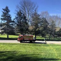 Westchester Tick & Mosquito Control Inc. ico