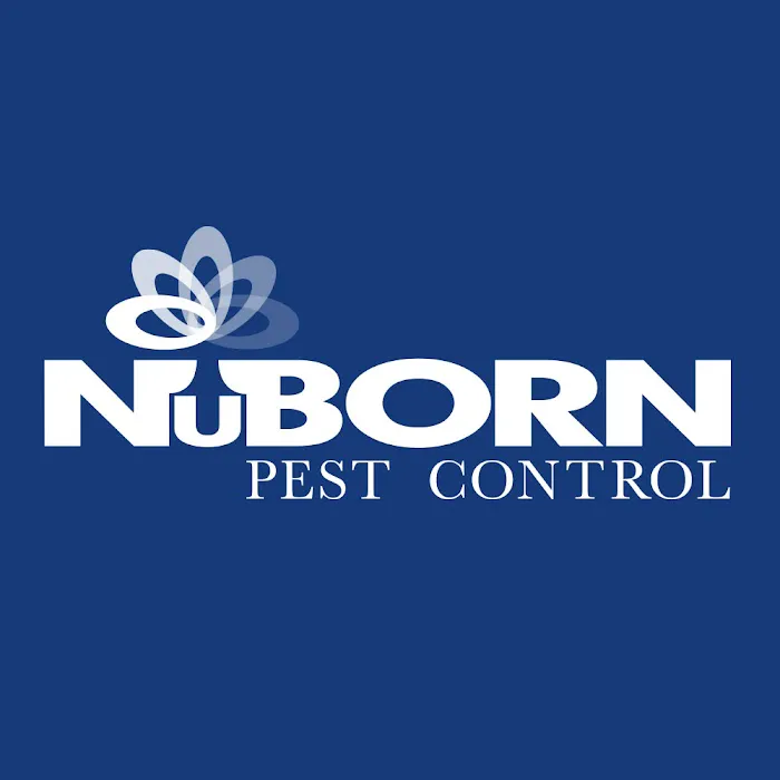NuBorn Pest Control Picture 4