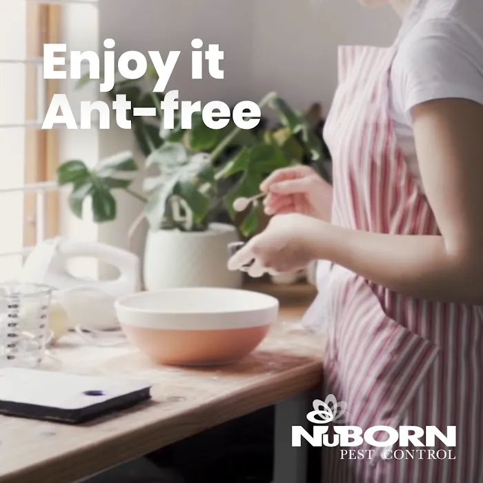 NuBorn Pest Control Picture 1