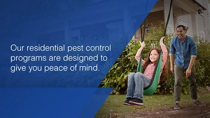 NuBorn Pest Control Picture 3