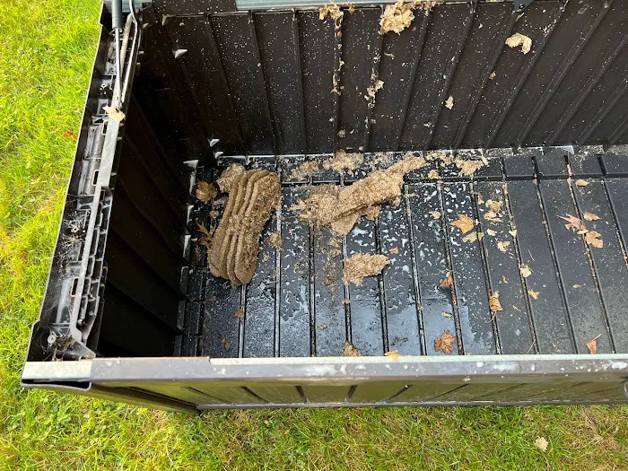 Rye Exterminators Picture 10