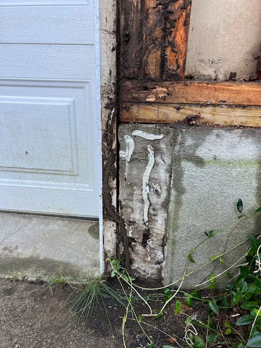 Rye Exterminators Picture 7