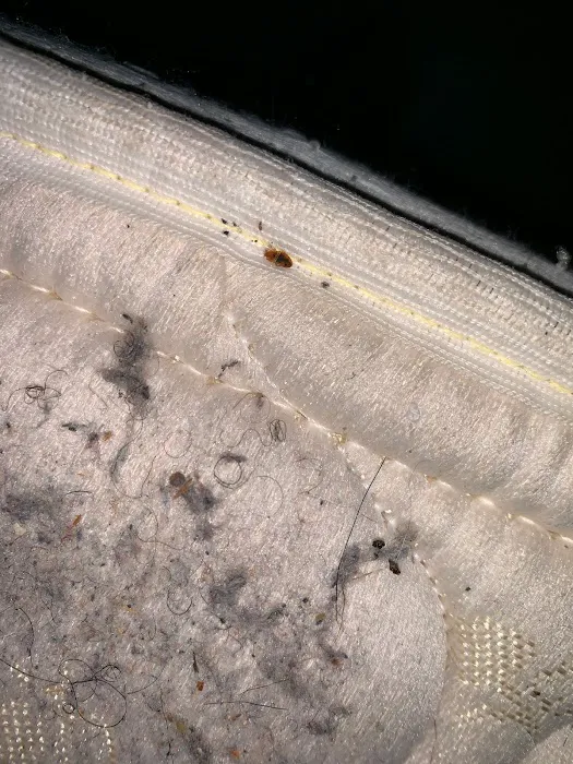 Gotcha Bed Bug Inspectors Picture 9