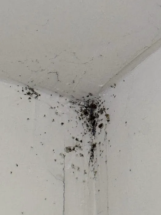 Gotcha Bed Bug Inspectors Picture 10