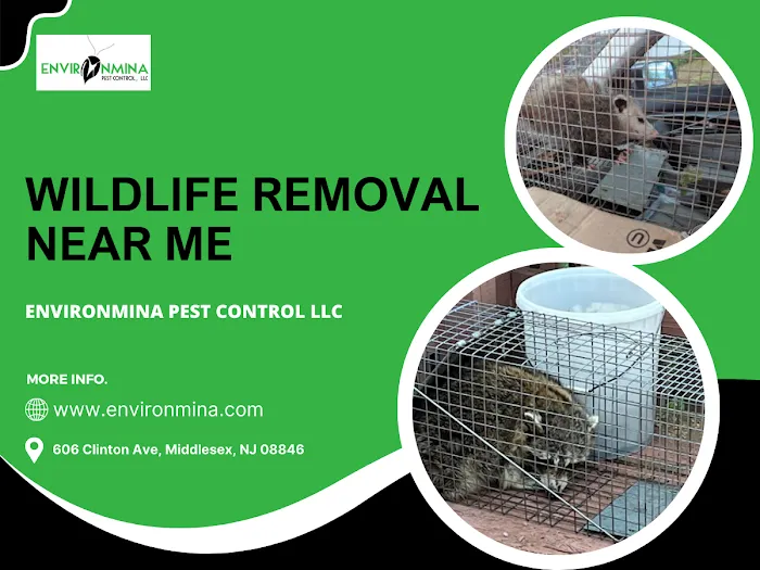 Environmina Pest Control LLC Picture 5