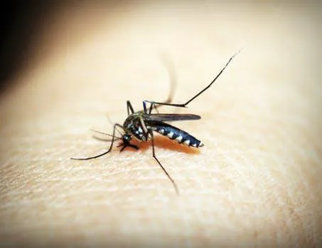 Environmina Pest Control LLC Picture 2