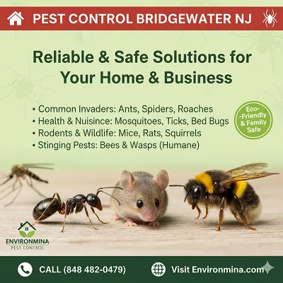 Environmina Pest Control LLC Picture 10