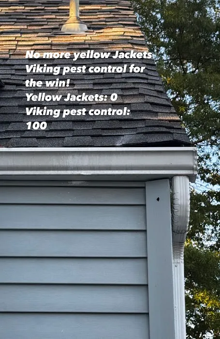 Viking Pest Control Picture 3