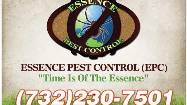 Essence Pest Control Picture 3