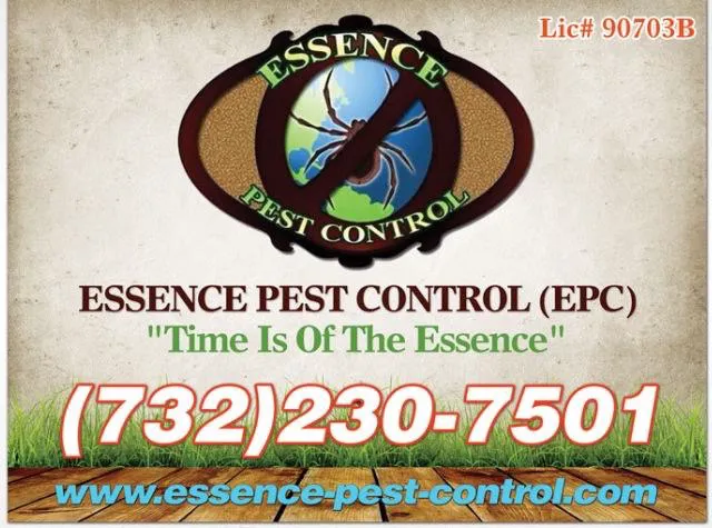 Essence Pest Control Picture 2
