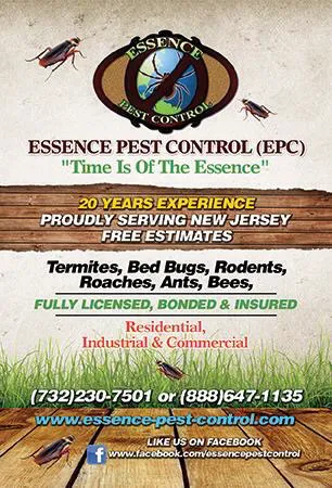 Essence Pest Control Picture 5