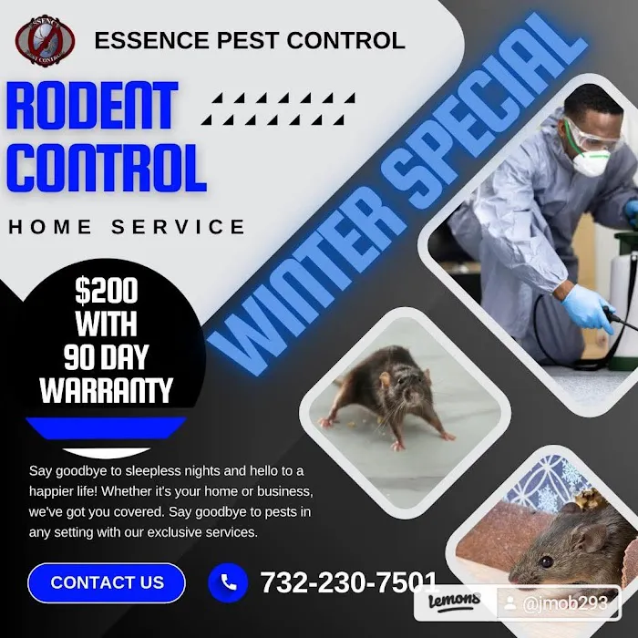 Essence Pest Control Picture 8