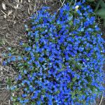 Aspenn Environmental Services NJ LLC