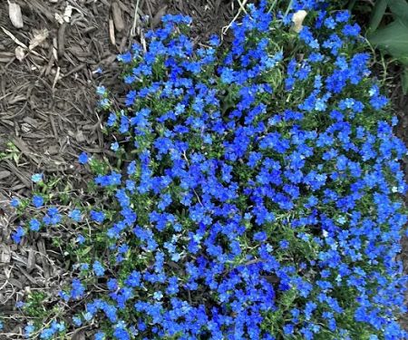 Aspenn Environmental Services NJ LLC