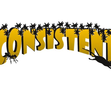 Consistent Pest Services