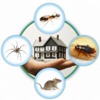 Problem Solved Pest Control ico
