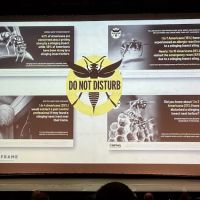 T.O. Mosquito (formally Ticked Off Mosquito) ico