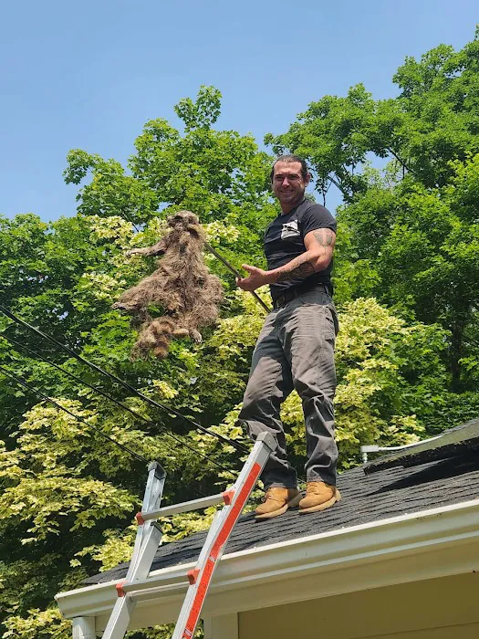 Powerhouse Animal & Pest Control LLC Picture 7