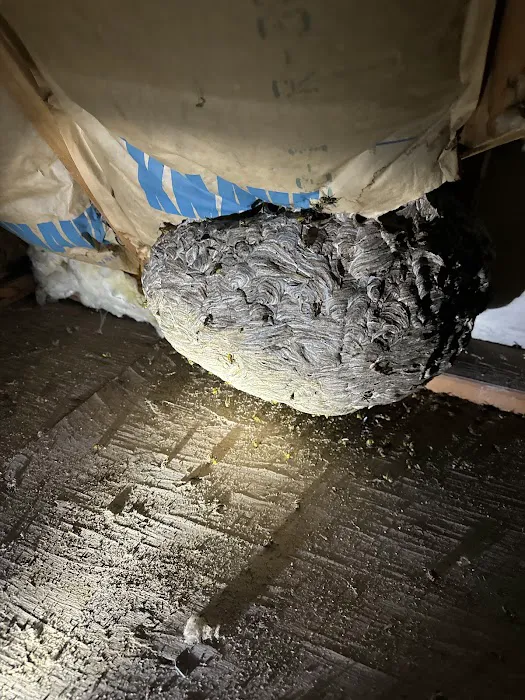 Powerhouse Animal & Pest Control LLC Picture 1
