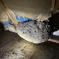 Powerhouse Animal & Pest Control LLC ico