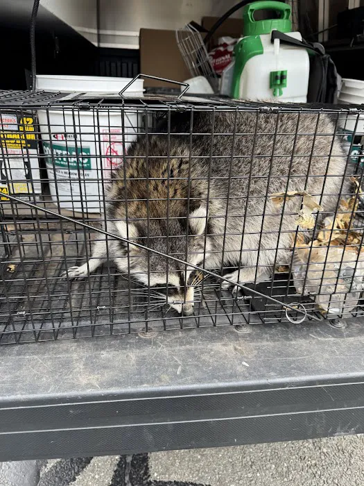Powerhouse Animal & Pest Control LLC Picture 9