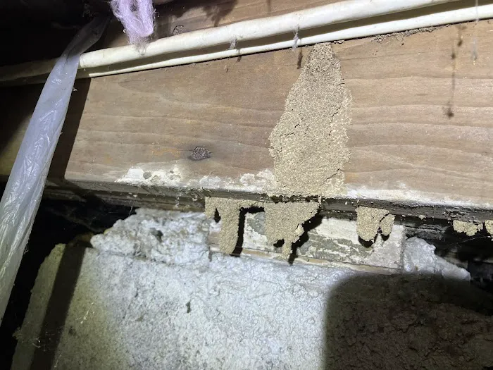 Faro Pest Control & Exterminator Services Picture 2