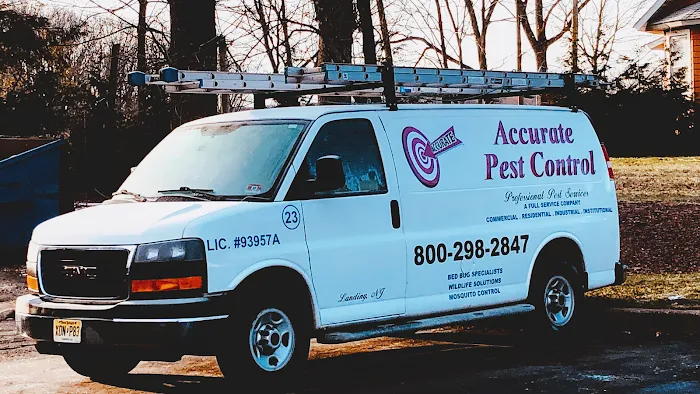 Accurate Pest Management Picture 8