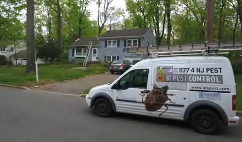 NJ Pest Control Picture 6