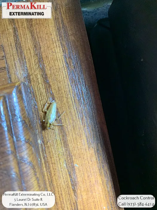 PermaKill Exterminating Picture 3