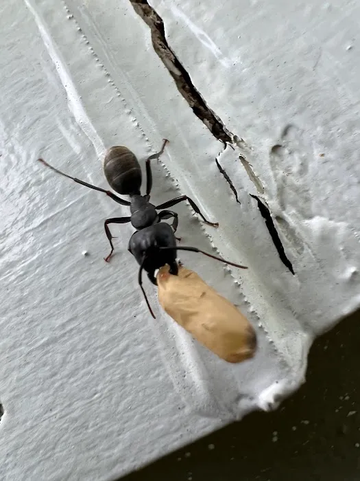 PermaKill Exterminating Picture 2