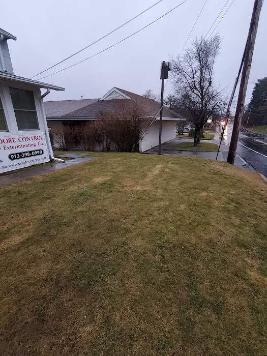 Moore Control Exterminating Co. Picture 2