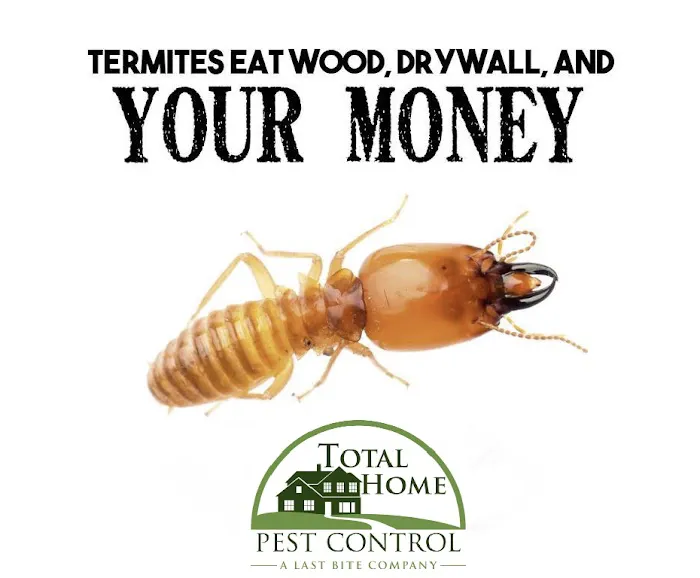 Total Home Pest Control Picture 3