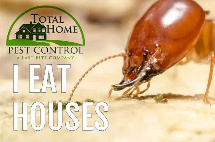 Total Home Pest Control Picture 7