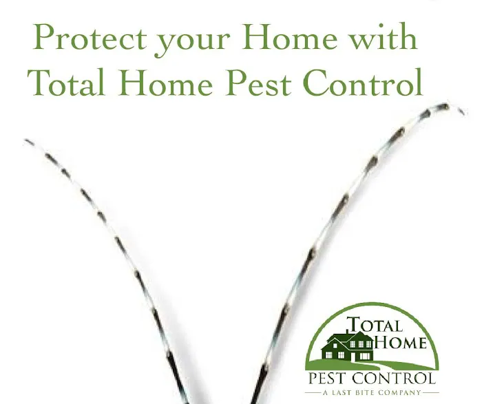Total Home Pest Control Picture 2