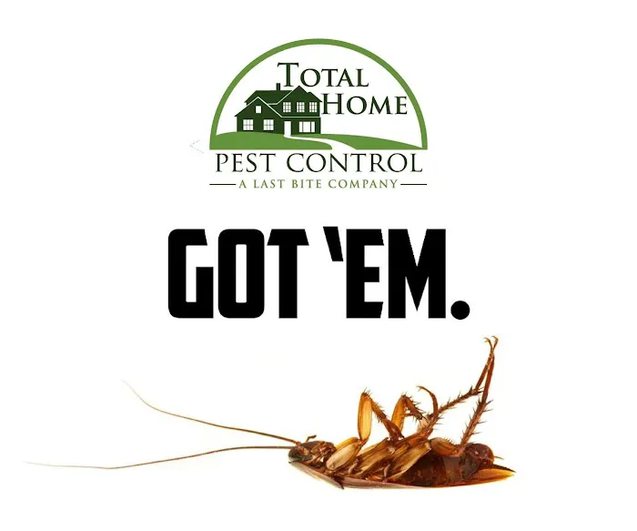 Total Home Pest Control Picture 5