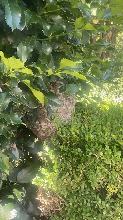 Agile Pest Control - Little Silver, NJ Picture 7