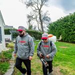 Knockout Mosquito and tick Control