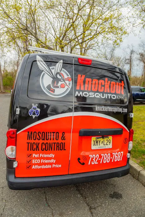 Knockout Mosquito and tick Control Picture 2