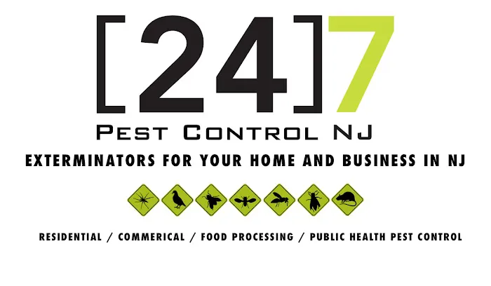 24 Hour Pest Control Picture 3
