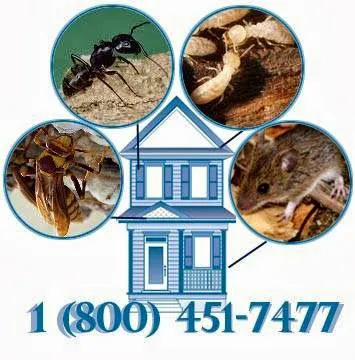 Freehold Pest Control, Inc. Picture 9