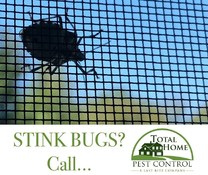 Total Home Pest Control Picture 7